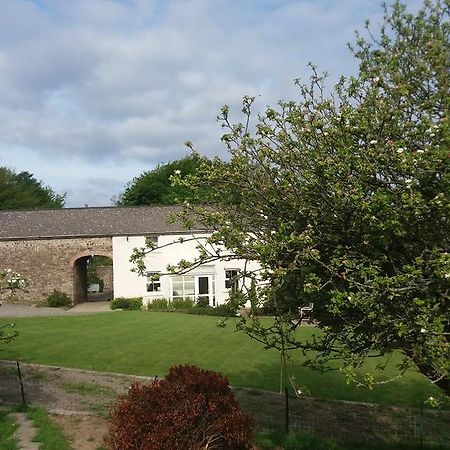 Rectory Farm Bed & Breakfast Haverfordwest Dış mekan fotoğraf
