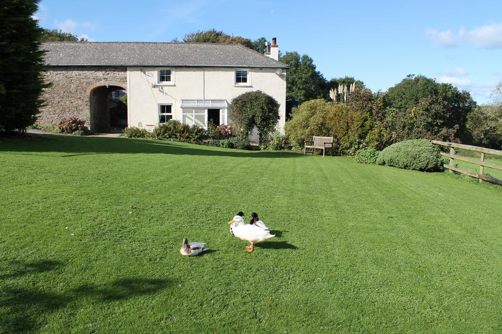Rectory Farm Bed & Breakfast Haverfordwest Dış mekan fotoğraf