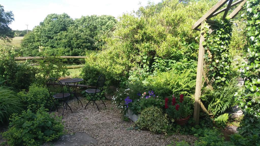Rectory Farm Bed & Breakfast Haverfordwest Dış mekan fotoğraf